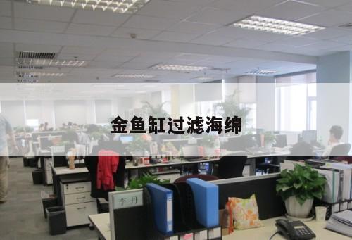 金魚缸過(guò)濾海綿