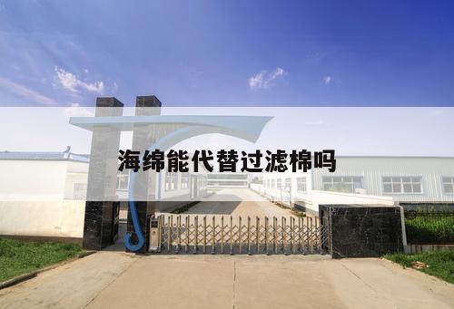 海綿能代替過濾棉嗎